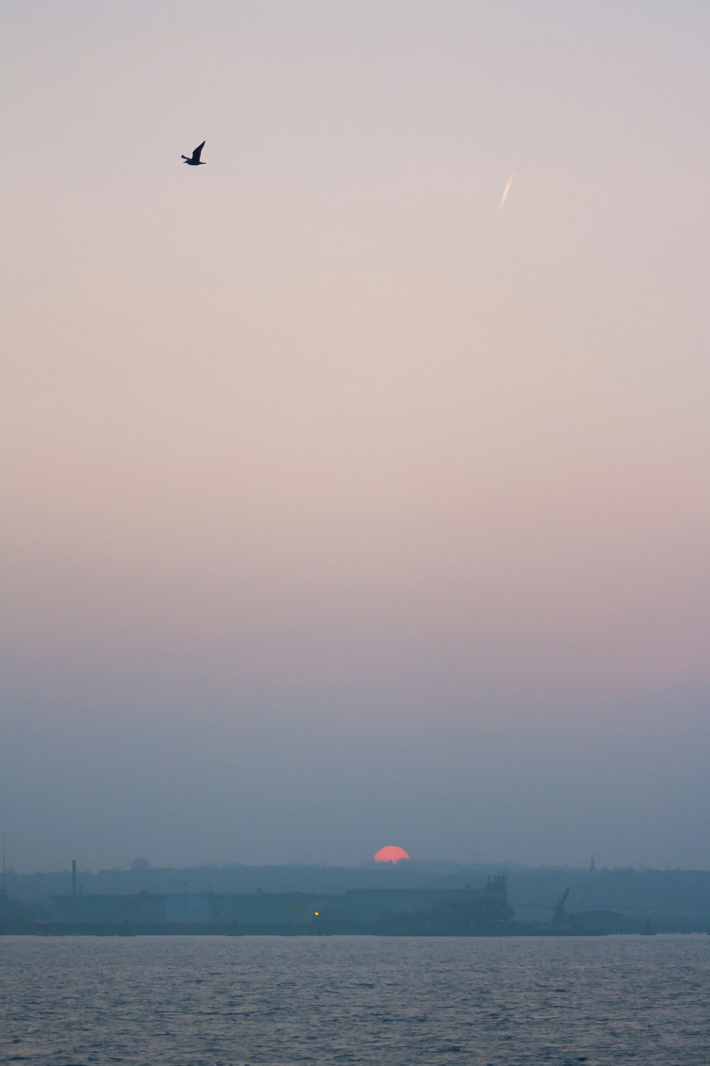 A hazy pink and lavender sky over water at sunset, a bird crossing overhead and a small red sun low on the horizon