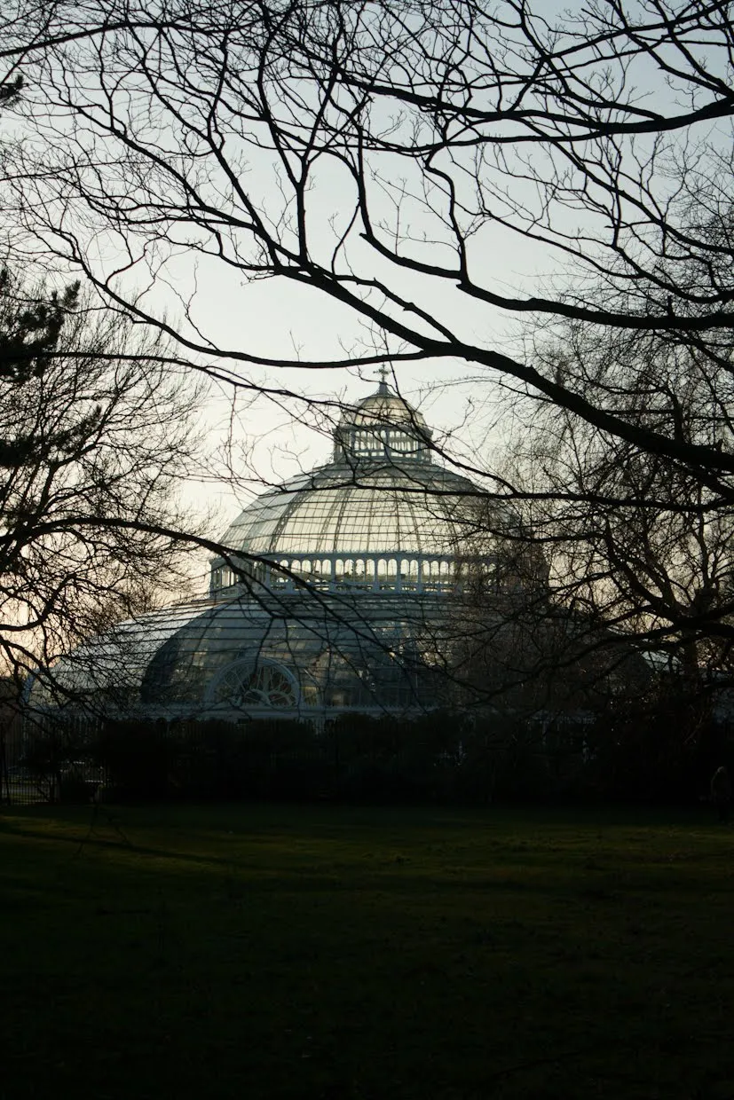 A glasshouse silhouetted through bare winter tree branches at dusk