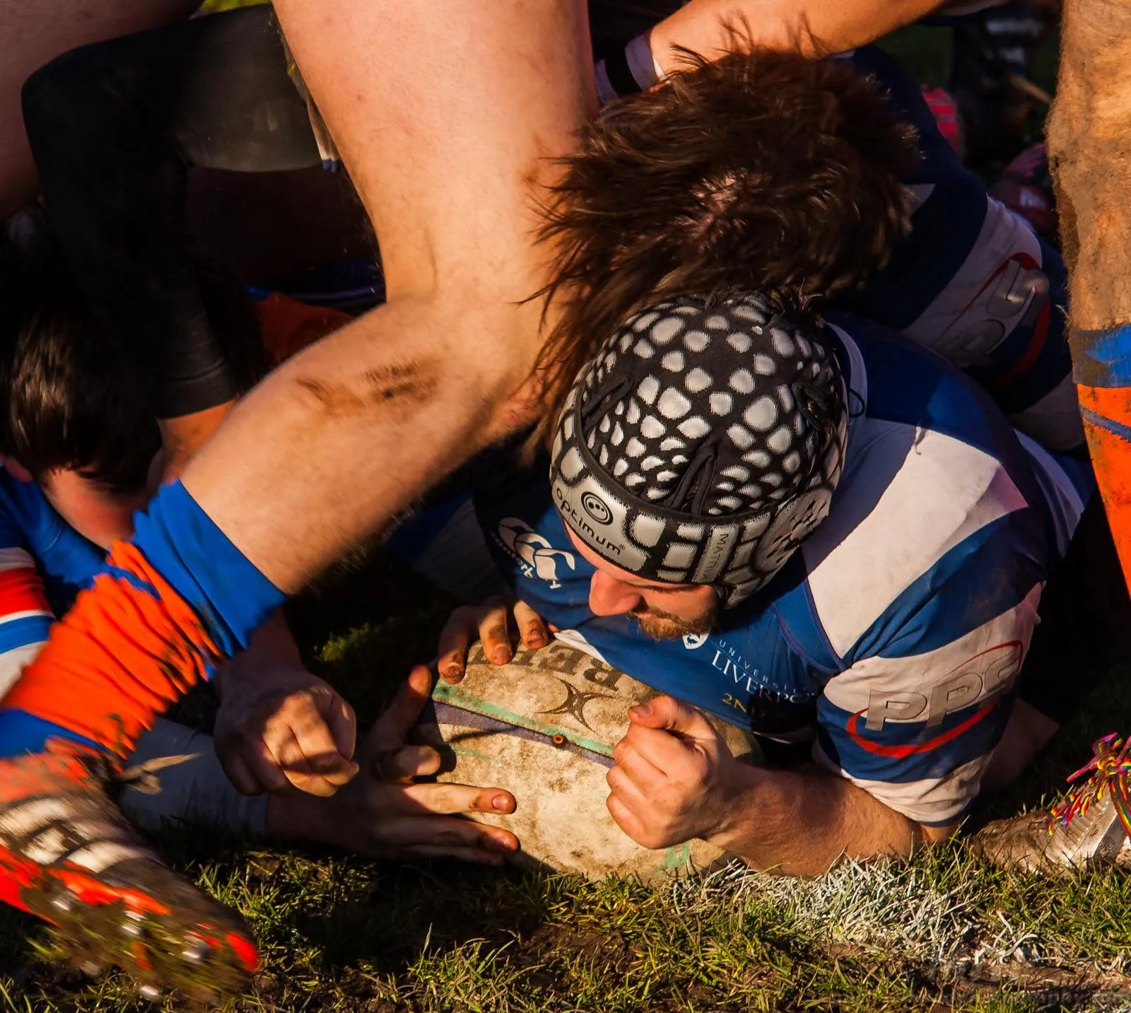 Close-up of hands digging for the ball at the bottom of a rugby ruck